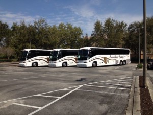 Coach buses lined up in a parking lot.