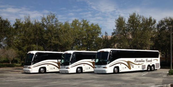 3 Executive Coach buses lined up side by side.