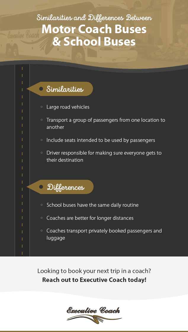 charter buses vs school buses differences and similarities