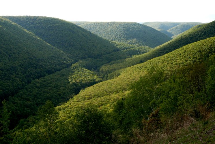 Pennsylvania Grand Canyon view