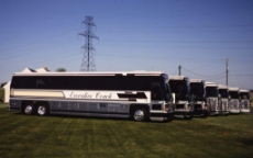 Coach buses lined up side by side