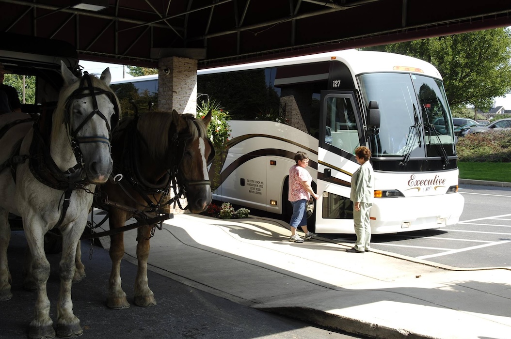 Executive Coach bus next to two buggy-pulling horses.