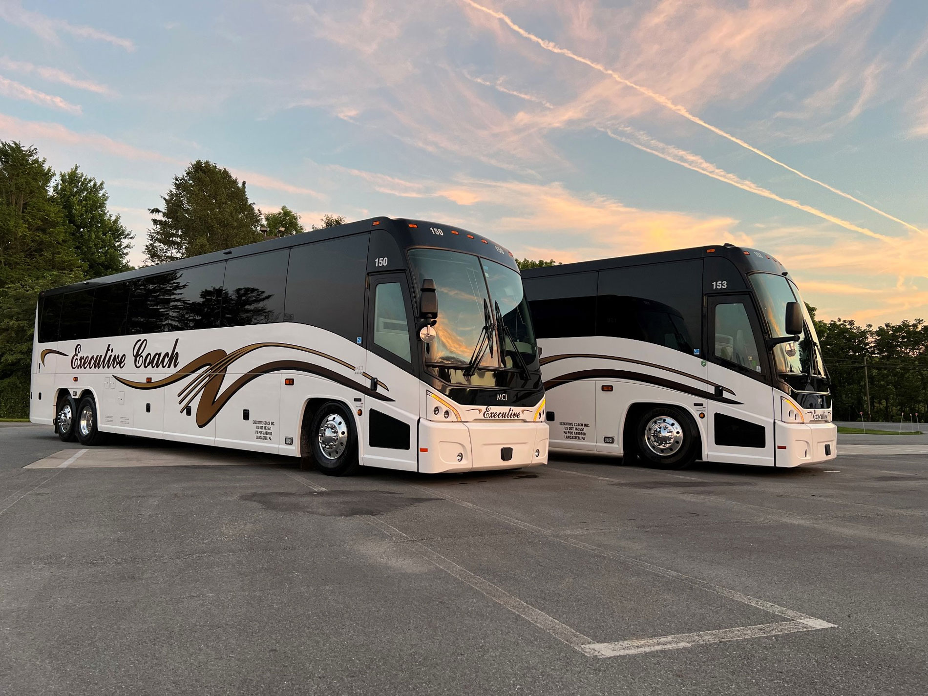 2 Executive Coach buses lined up next to one another